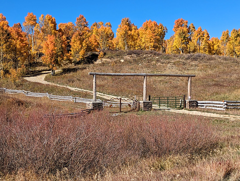 Autumn colors above Kolob Reservoir on Cedar Mountain near Zion National Park Utah in mid-October 2023