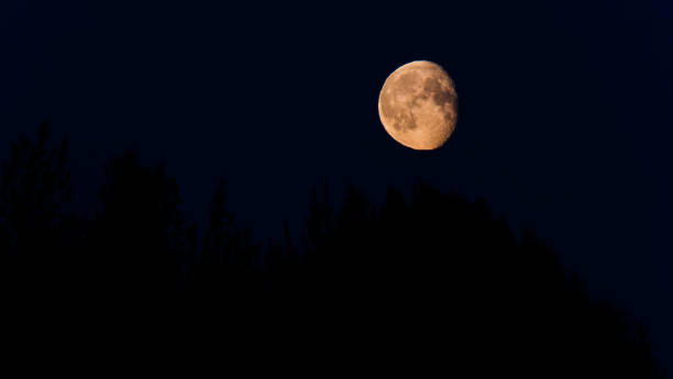 istock Moon Rising over Fairbanks Alaska Chena River Region 1739619619
