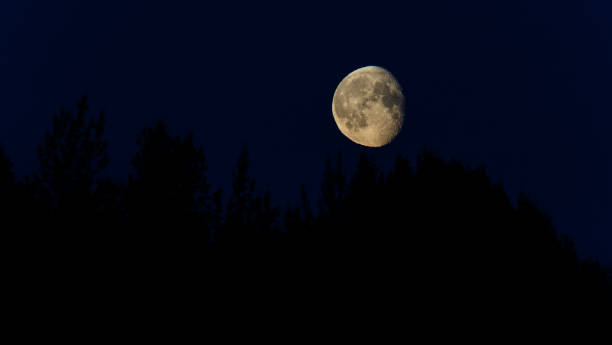 istock Cool White Balanced Moon Rising over Fairbanks , Alaska 1739620150