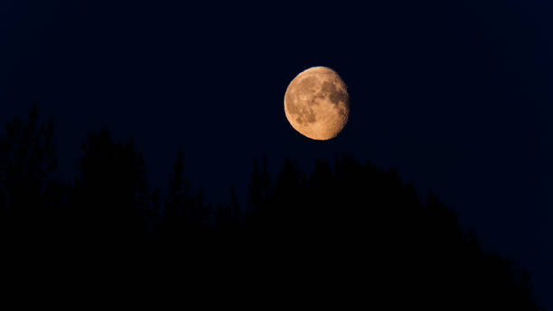 теплая белая сбалансированная луна восходит над фэрбенксом, аляска - sea black and white horizontal horizon over water стоковые фото и изображения