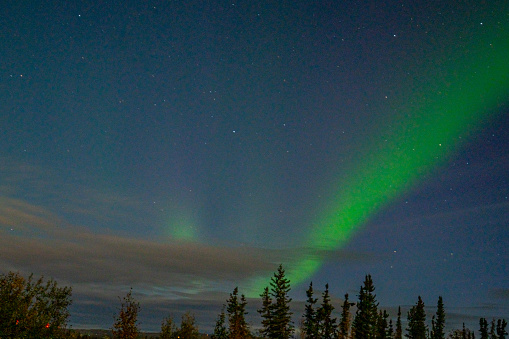 Northen Lights Starting to Emerge in Fairbanks, Alaska