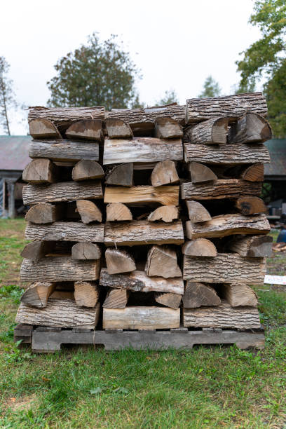 istock Pile of Fire Wood in Organized Shape 1739639207