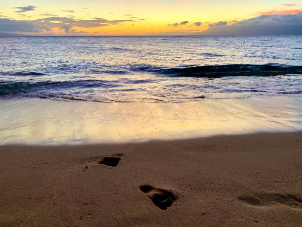 istock Sandy Footprints on a Hawaiian Beach at Sunset 1739697537