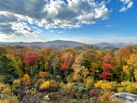 Fall foliage during the autumn season on the Blue Ridge Parkway in North Carolina
