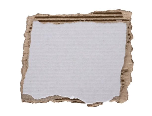 istock piece of white paper tear isolated on white background 1739698030