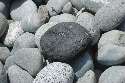 Piece of coal worn by wave action and washed up on beach with other round rocks, West Coast, South Island, New Zealand