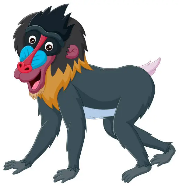 Vector illustration of Smiling cartoon mandrill baboon isolated on white background. Vector illustration