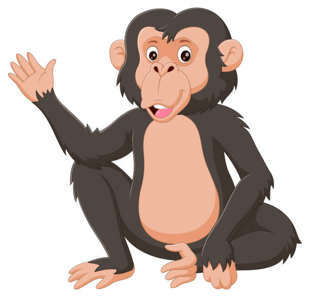 白い背景に手を振る漫画のチンパンジー。ベクターイラスト - チンパンジー点のイラスト素材／クリップアート素材／マンガ素材／アイコン素材