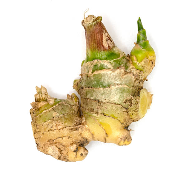 istock closeup fresh ginger isolated on white background 1739913385
