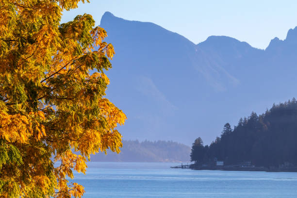 The waterfront along the scenic Sunshine Coast of British Columbia.