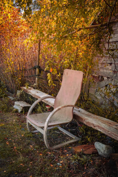 istock Old Chair In The Yard 1739924684
