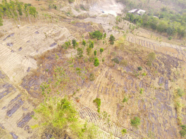 istock Aerial view of Mining Land 1739925212