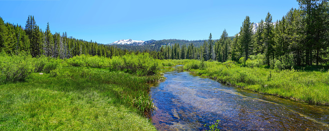 Panoramic view of mountain stream flowing through a lush green meadow in Lassen Volcanic National Park