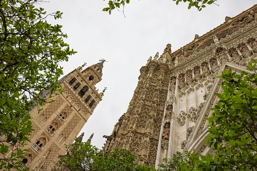 Seville Cathedral and Giralda tower viewed from orange tree courtyard, Spain