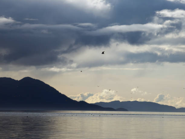 Nuvens de tempestade se formando sobre a Reta Gelada no sudeste do Alasca com gaivotas. - foto de acervo