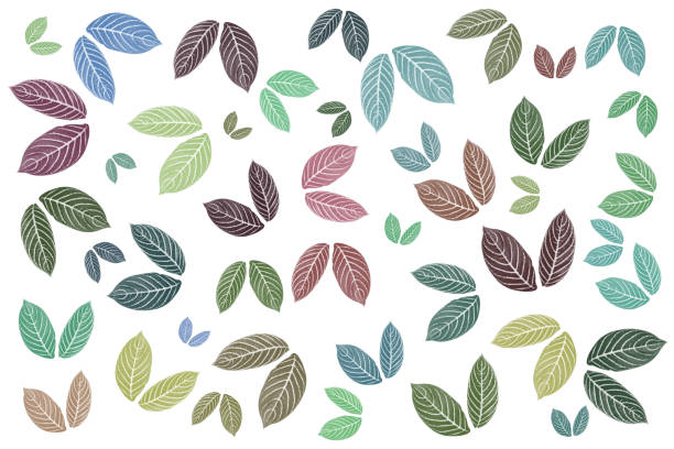 colorful leaves pattern on white background,gradient color pastel autumn leaf,ideas graphic design for web or banner