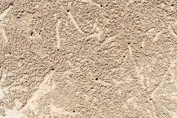 beach textured with crabs holes and sand balls