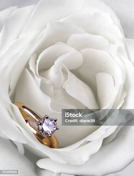 Noivado Rosa - Fotografias de stock e mais imagens de Branco - Branco, Diamante, Rosa - Flor