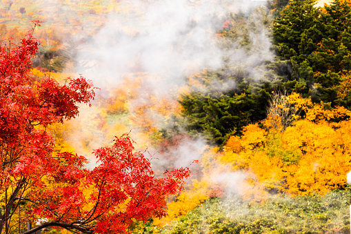 Majestic autumn mountain views and geothermal hot spring steam venting from underground in the Hachimantai area of Iwate in North Japan.