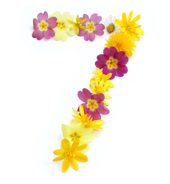 istock number 7 seven made from yellow and pink flowers 1740147839