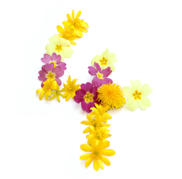 istock four 4 number made from yellow and pink flowers 1740147847