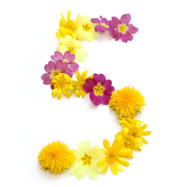 istock number 5 five made from yellow and pink flowers 1740147852