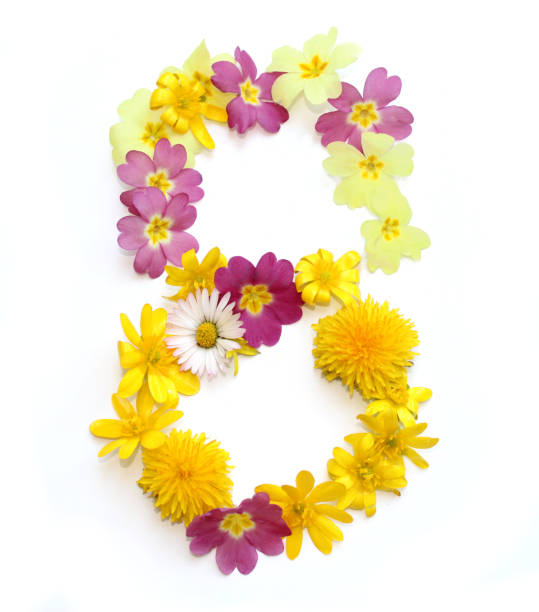 istock number 8 made from yellow and pink flowers 1740147855