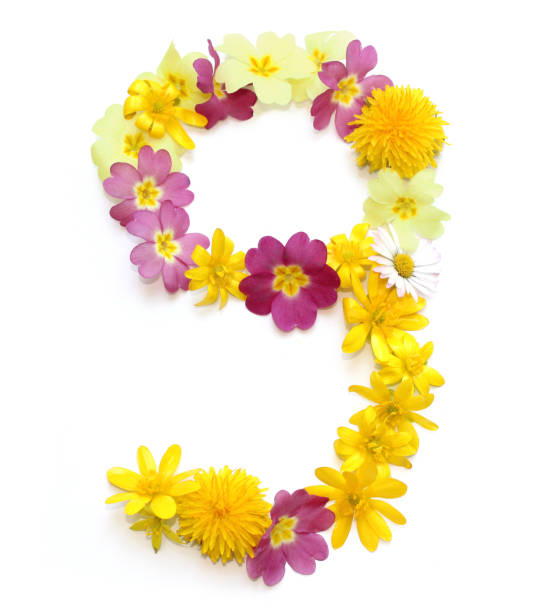 istock number nine 9 made from yellow and pink flowers 1740147856