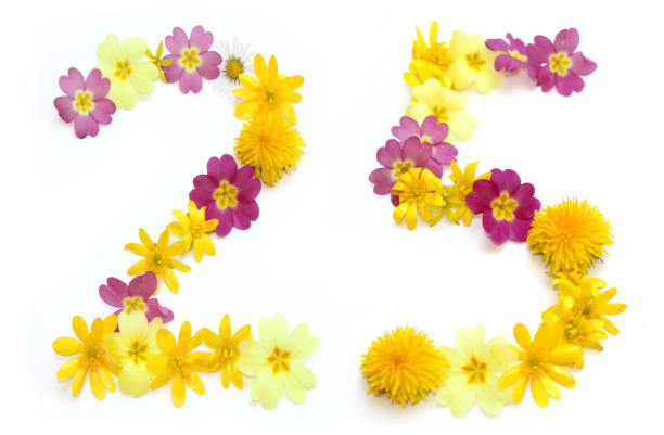 twenty five 25 number made from freshly picked yellow and pink flowers. for birthday party, anniversaries, wedding celebrations and corporate events, isolated on a white background