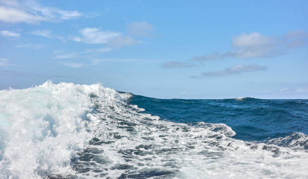 istock The wake of a speedboat, selective focus. 1740169780
