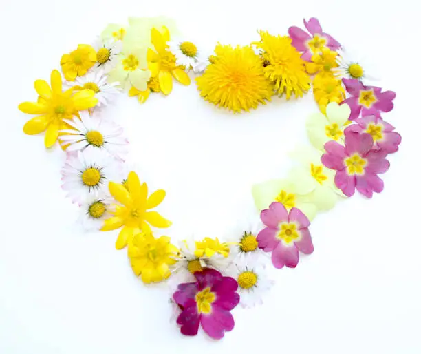 heart made from freshly picked yellow and pink flowers. for birthday party, anniversaries, wedding celebrations and corporate events