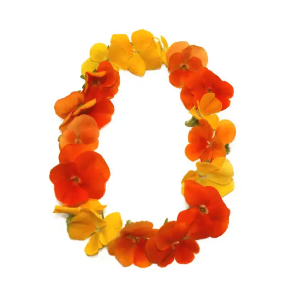 number zero 0, letter O, oval circle  made from freshly picked yellow, orange and red flowers. for birthday party, anniversaries, wedding celebrations and corporate events, isolated on a white background