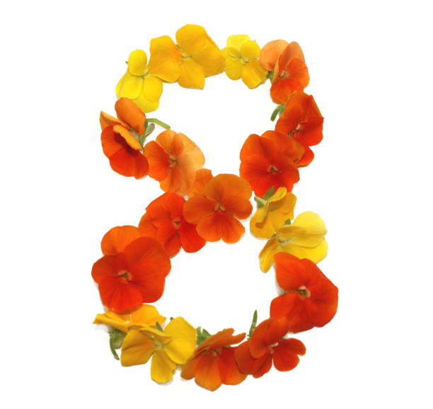 istock number eight made from yellow, orange and red flowers 1740225612