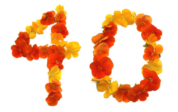 istock number 40 made from yellow, orange and red flowers 1740228954