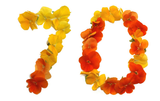 istock number 70 made from yellow, orange and red flowers 1740228993