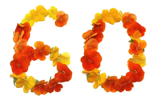 number sixty made from freshly picked yellow, orange and red flowers. for birthday party, anniversaries, wedding celebrations and corporate events, isolated on a white background