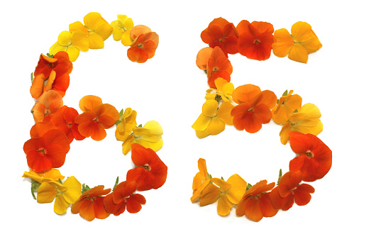 number sixty five made from freshly picked yellow, orange and red flowers. for birthday party, anniversaries, wedding celebrations and corporate events, isolated on a white background, number 6 and number 5