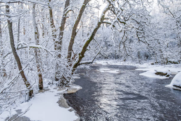istock Ice on the shore of a river in winter 1740243805