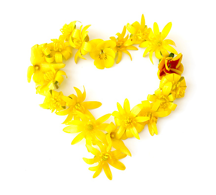 heart made from freshly picked yellow flowers. for birthday party, anniversaries, wedding celebrations and corporate events
