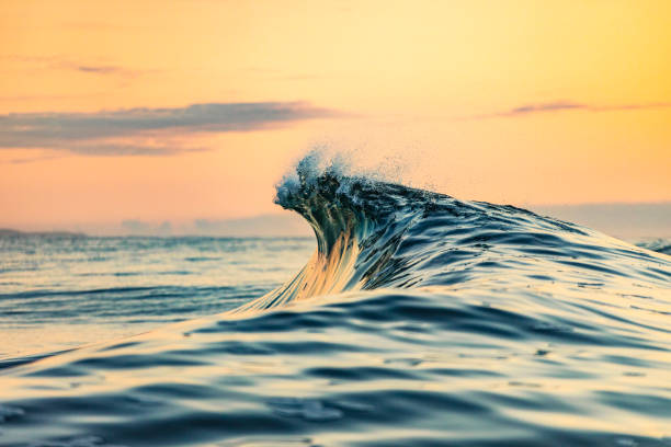 istock Smooth curved wave in the ocean with golden sky at dusk 1740250146