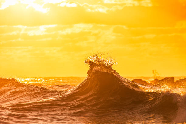 istock Silhouette backwash waves colliding in warm morning back lit light 1740254712