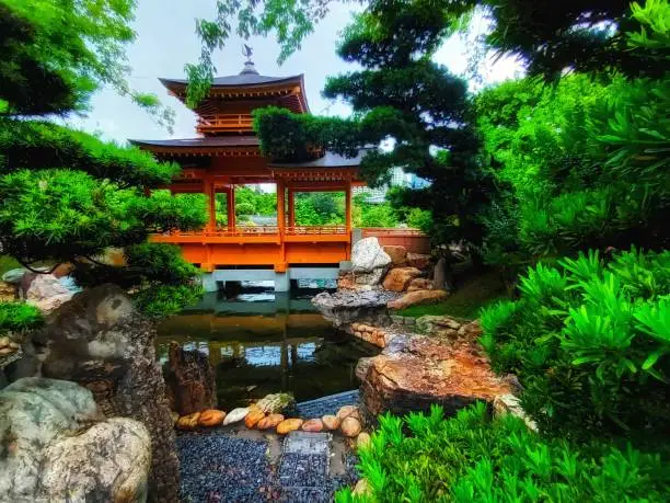 Photo of Zen Bonsai Oriental Garden