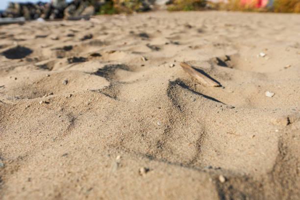 istock Footprints in the sand on the beach. Selective focus. 1740259679