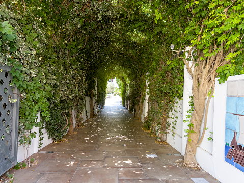 A nice walkway in Ponza.