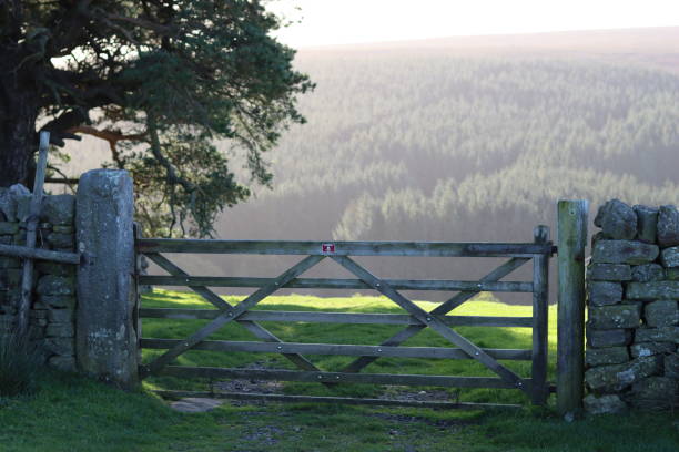 istock Wooden gate on a countryside path, leading into a field in bright sunshine 1740312866