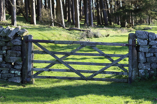 Wooden gate on a countryside path, leading into a field in bright sunshine
