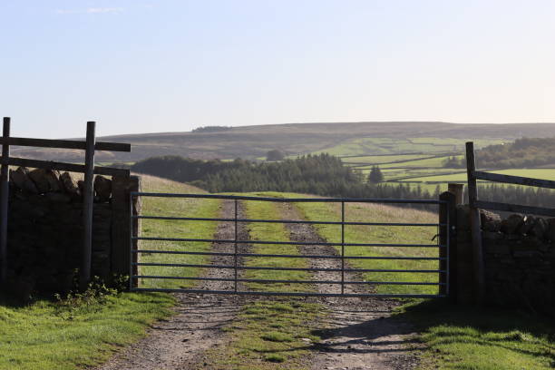 istock Long metal field gate on a countryside track, with views over distant fields 1740313916
