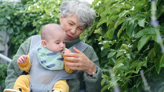 Plants, baby and grandmother babysitting in a backyard of house as care, love and outdoor bonding together. Infant, elderly and senior woman on retirement with child in nature as family in garden