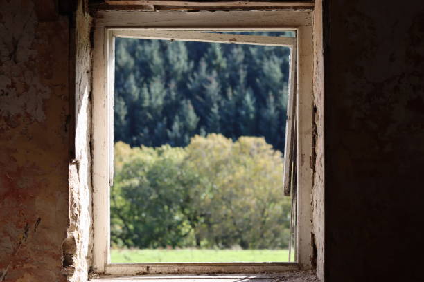 istock Looking through the window of an abandoned farmhouse 1740329363