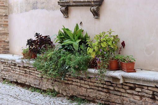 Colourful plant pots on a stone wall in a historic back street in an old town